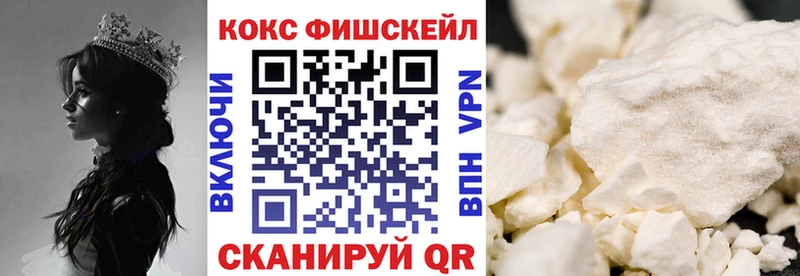 купить сайты Высоцк мега зеркало Cocaine FishScale