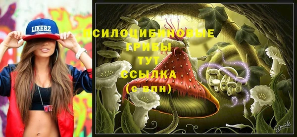 мет Козловка