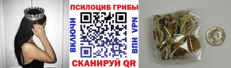 как найти закладки Высоцк Галлюциногенные грибы Cubensis
