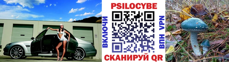 Псилоцибиновые грибы Psilocybine cubensis Высоцк